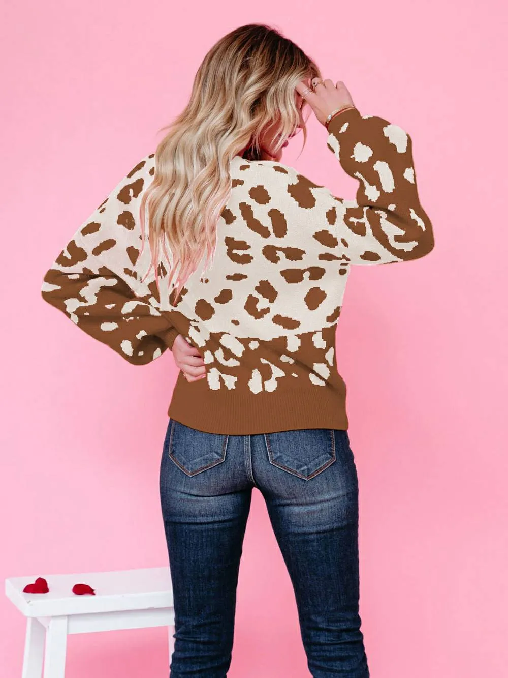 Chic Leopard Round Neck Knit Sweater